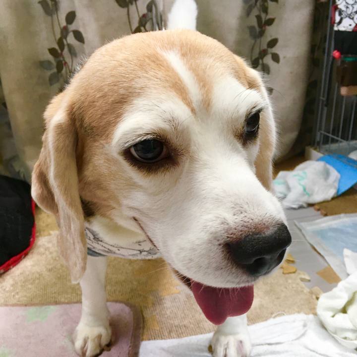 1538caad 75c6 457c 8a16 5e0bd1ceca03 1571553407021