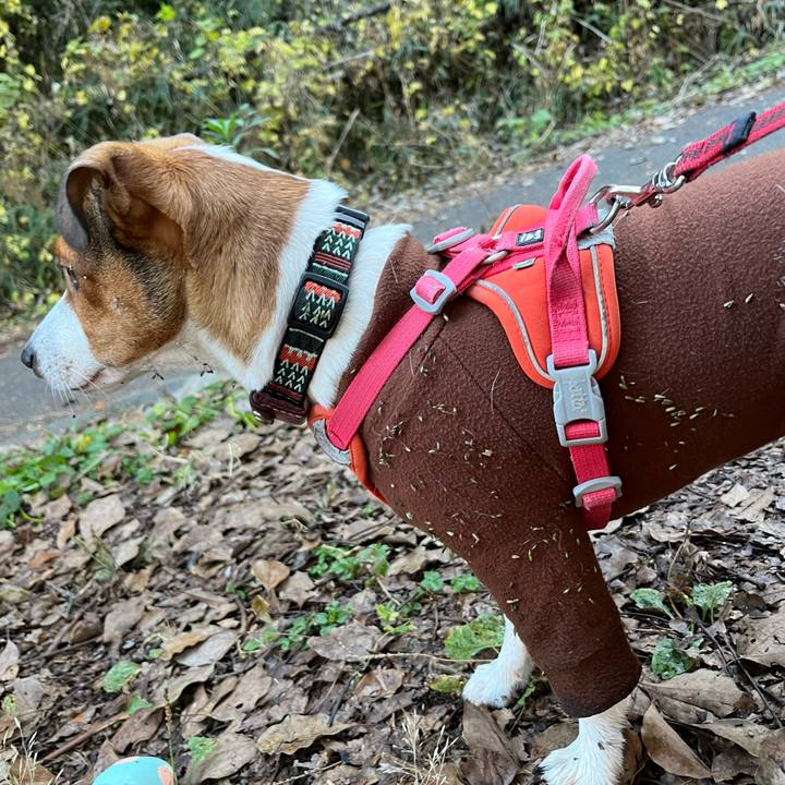 1538e69b b7c0 499b 8630 abb6f4033846 1763810668954