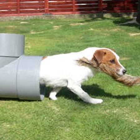 1538e900 59c1 481d 9c90 c5dd2897dbae 1522207079065