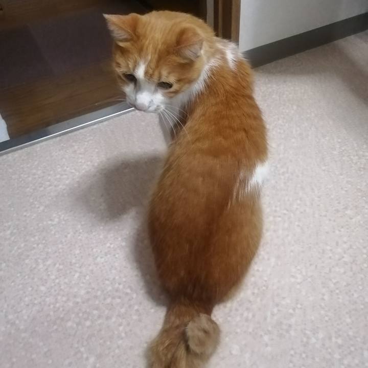 15391733 b1e9 4f6c 8f0b 3c5721e13d74 1646134932047