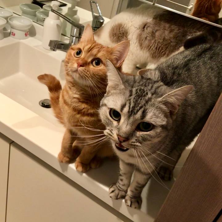 15392efc 2367 4dbb bb63 5894cb887063 1513950238939