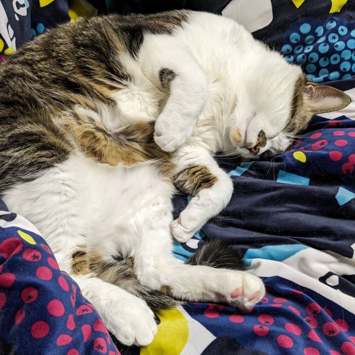 1539582d a703 442a 95ce 2cdc61868a33 1705154438365