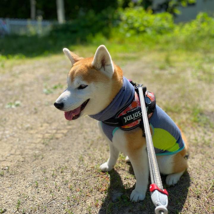 15396a20 e702 4bb8 86f7 4ad3f01def36 1687771132346