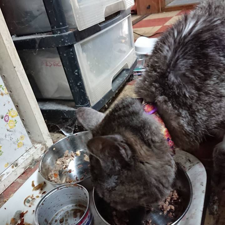 1539981f 8d5d 42ed a9c3 4c14b58f0bd6 1595568485406