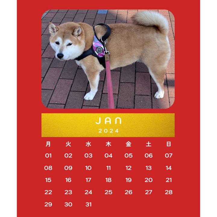 1539bbe7 ade2 4a2b 8acf f284dc6c2b01 1704142498450