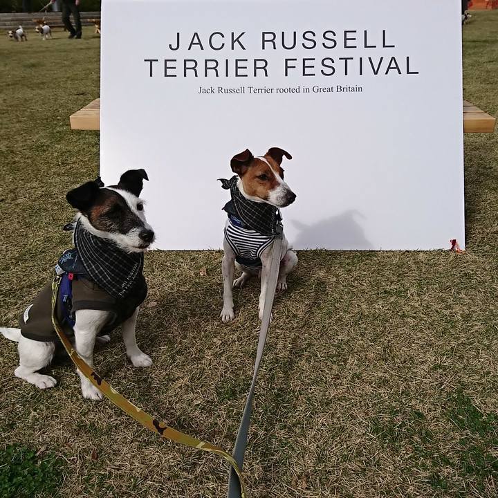 153a77ac f42f 4f2e 90bf ad3933be8ec3 1543023213907