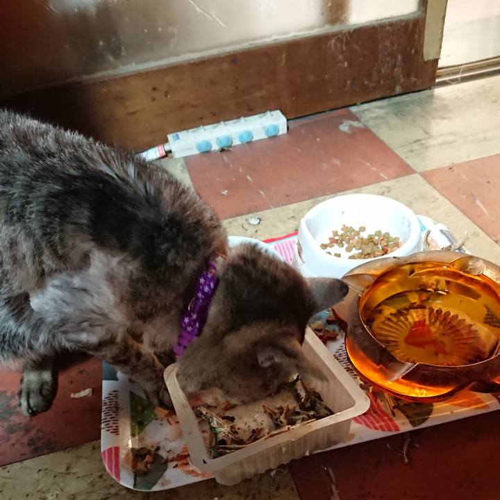 153b188d 41b2 4584 ac6b 72ac67a20ffc 1591561054344