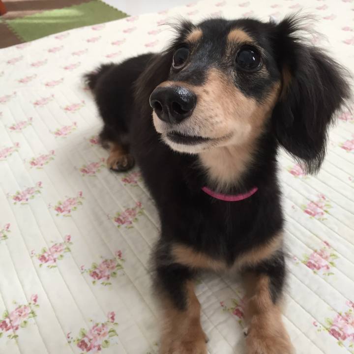 153b32f0 c52a 4bc8 80f9 f8349fc5e4fd 1526350726934