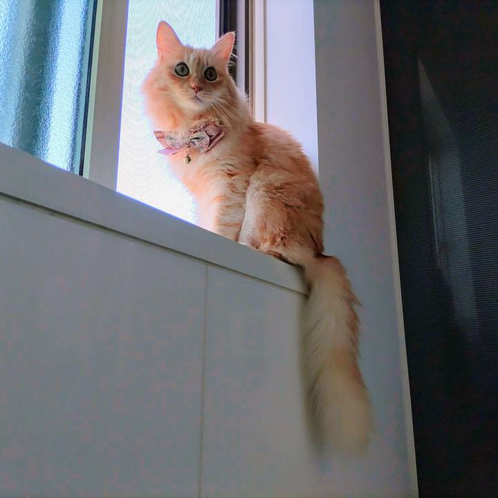 153b3bd3 b46b 4776 ae7f ba7de5cc9285 1725675546212