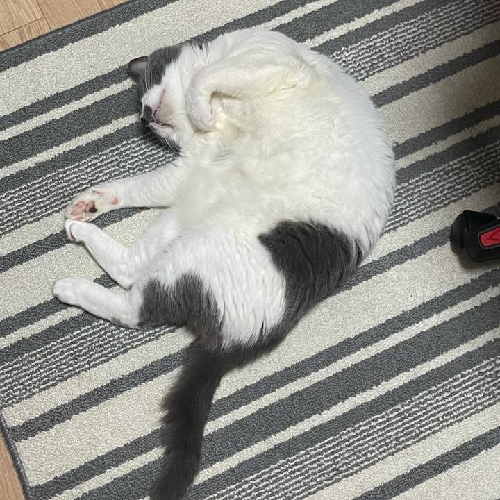 153b5107 2c04 4cb1 b36e 5ca98f9b4855 1755867443787