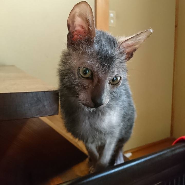 153b6dfb 01d2 46e8 8cd0 22f87aa340b6 1519614086311