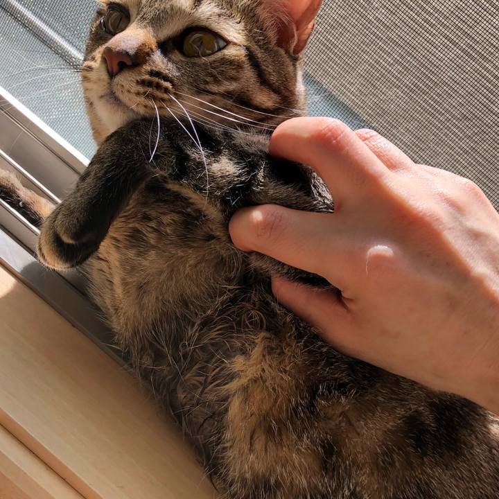 153b8458 4d94 4985 bc2e d7f4d8745066 1521129999512