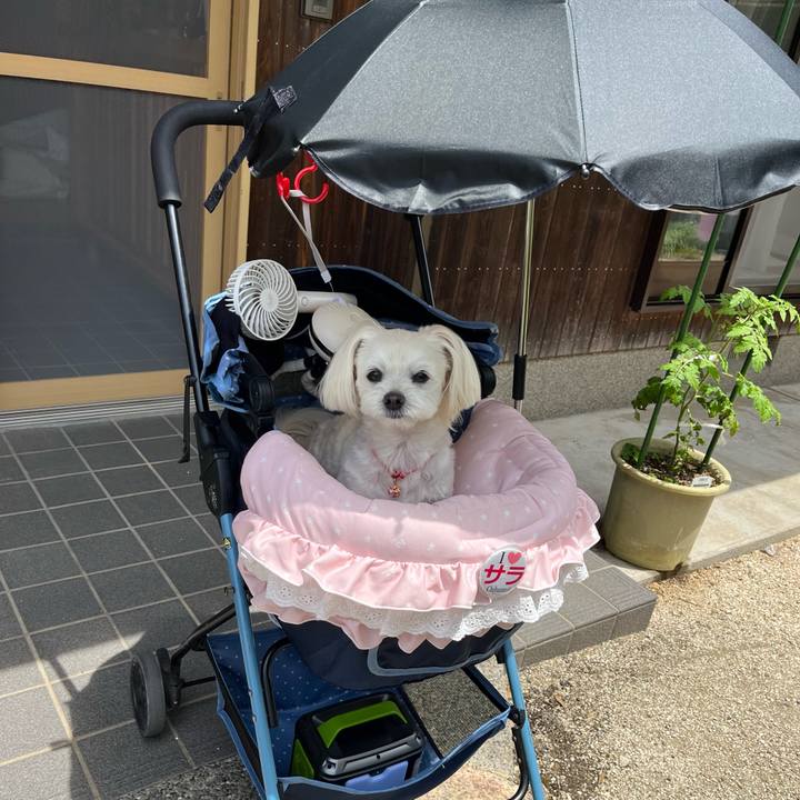 153bc361 903e 4d02 ae86 6b6812897bfb 1685154216978