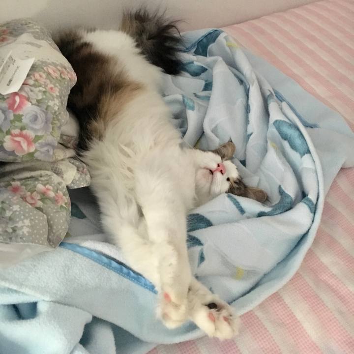 153bcfcb 62df 42b1 84d4 23bd54a320de 1537690814477