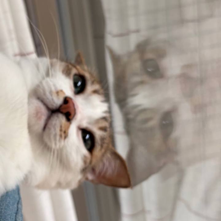 153be291 7f04 42e3 810c 63e614926471 1776231185071