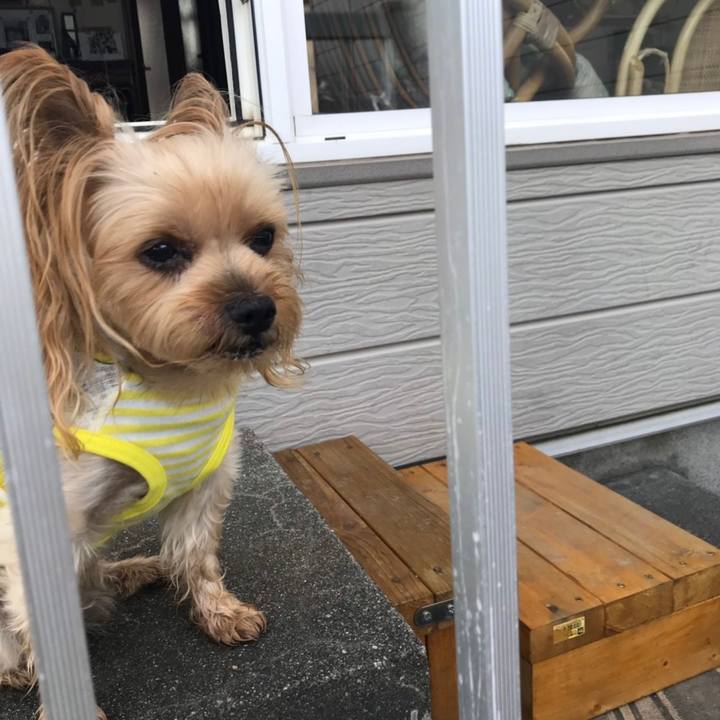 153c00fc 5bb2 45be 954e e679b026d536 1566733879734