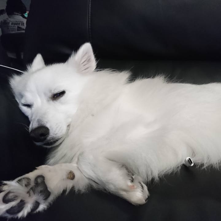 153c176d 3a0e 403f 9336 ad9ef3c52f5a 1535898372739