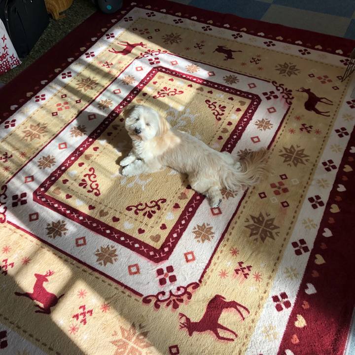 153c30a1 6e59 4a15 84fd dbdab2142767 1510474078293