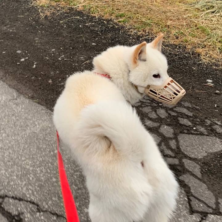 153c54ef 593a 4004 bc5e 521b2380eb7d 1559680166078