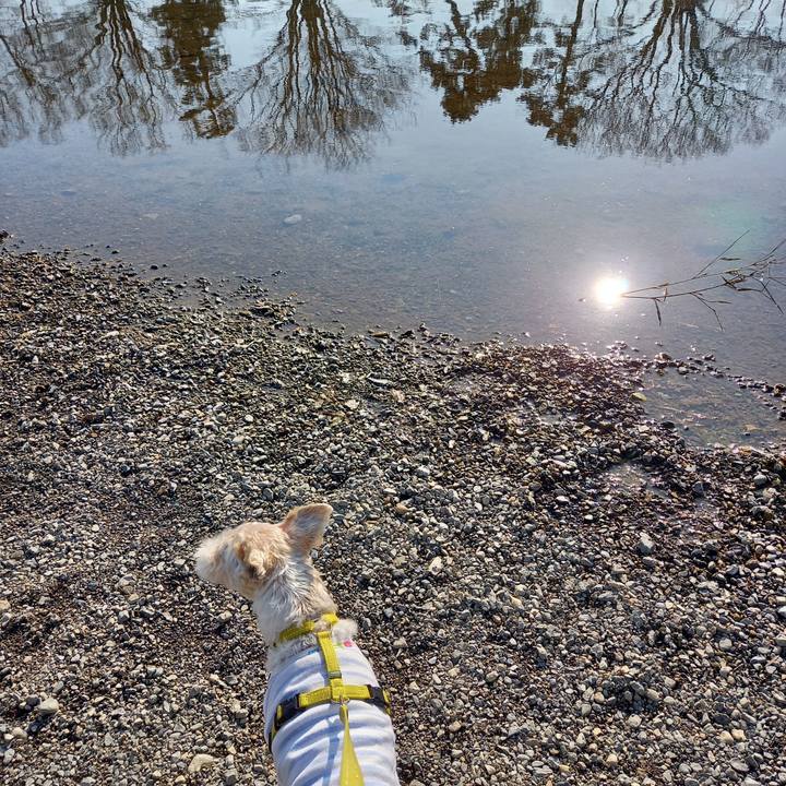 153c78b0 05d8 4d8d bb6e 57d56fff4308 1645873926209