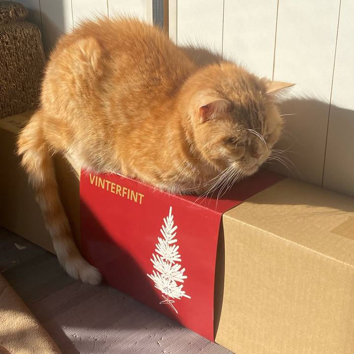 153c83d6 87df 4ab5 ad50 66f0dad130d9 1673295700199