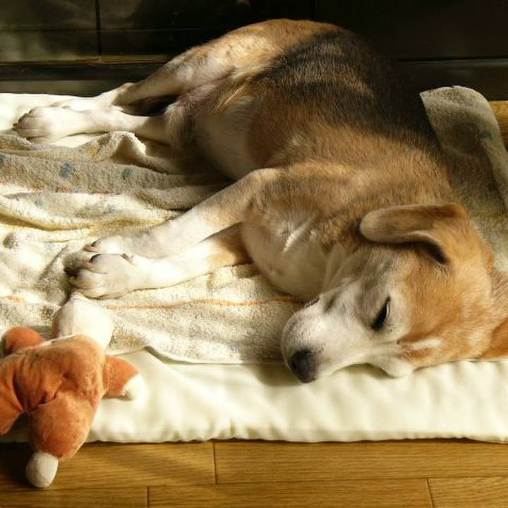 153c857d c5a0 4993 81d5 01ce8da47f4c 1670285903677