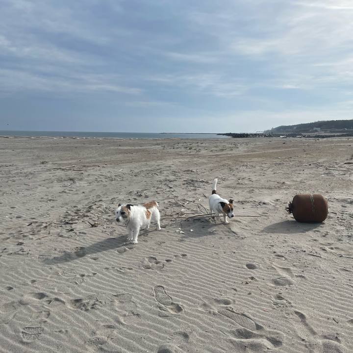 153d23d6 962f 472d 9978 49d94ca609c2 1714433263585