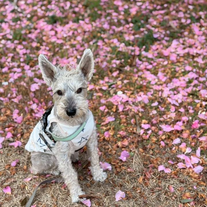 153d2ffb 333d 4187 a6ba dfaf296af897 1765715141119