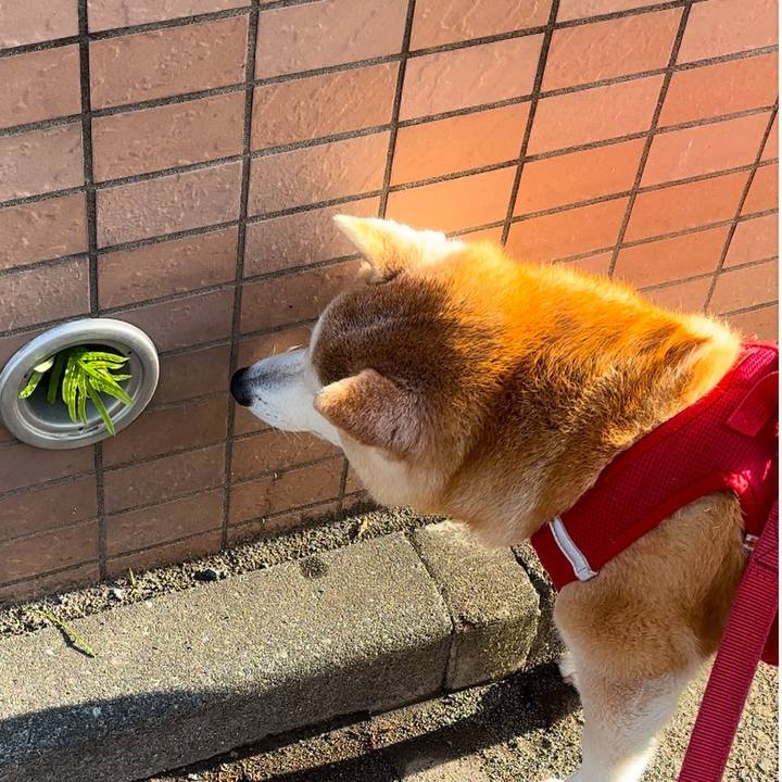 153d3f54 d4ab 4d36 8b86 a4909cf9b92e 1740087449486