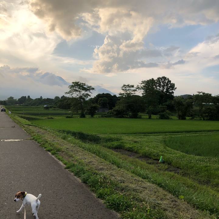 153d4e30 80a0 4dc2 bcb8 767b0f4c13cc 1531144648239