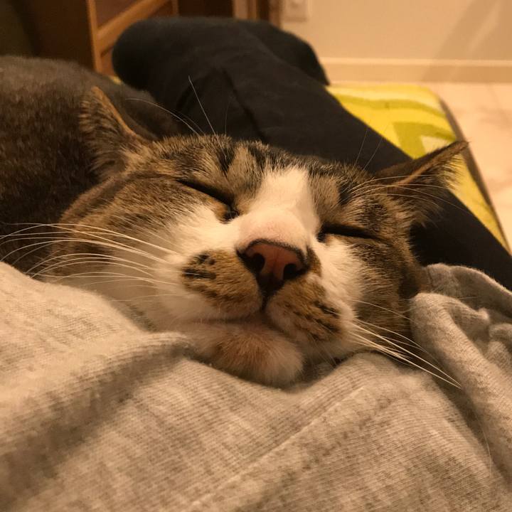 153d6236 e99a 4bff 8d8b 3d0588bea965 1589884885087