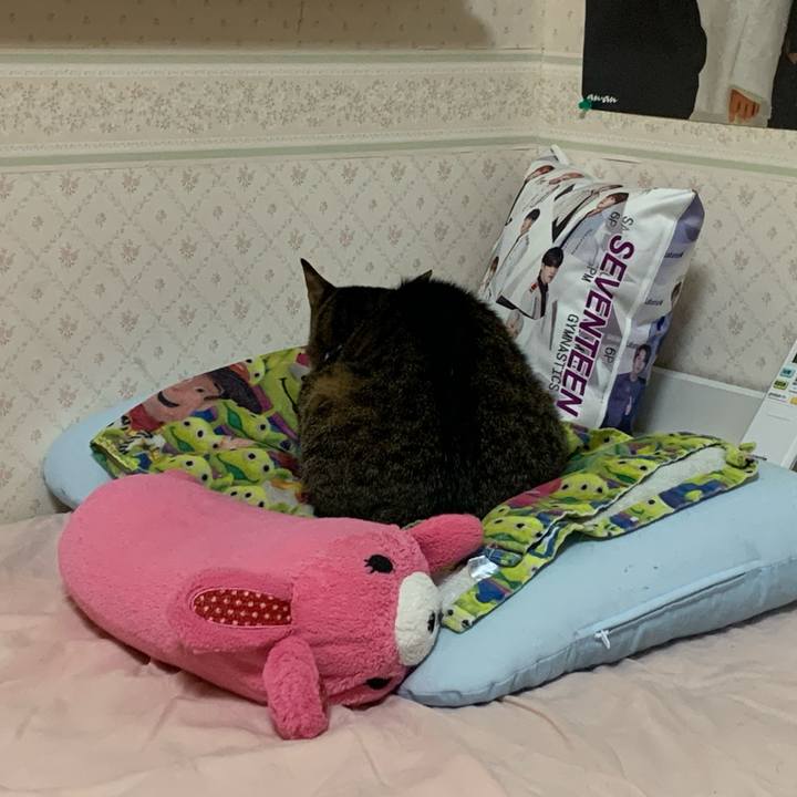 153d6d10 55ac 4a3f 81d8 15f9229689c5 1606911219793