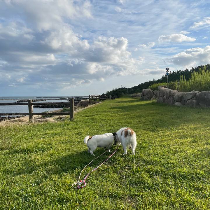 153da048 5915 410e 840e 7e890d787561 1727576489416