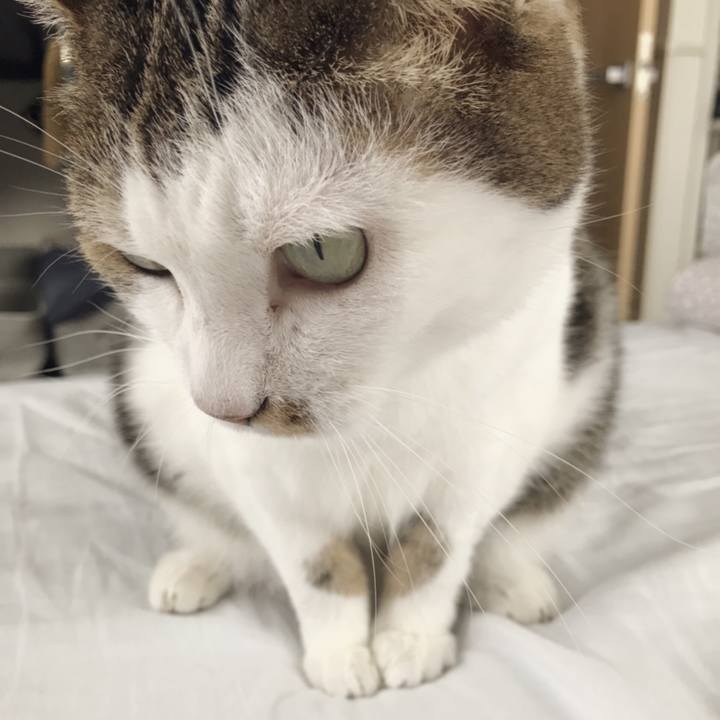 153da21d 834f 4484 83d9 ee131f7d2d48 1559272124194