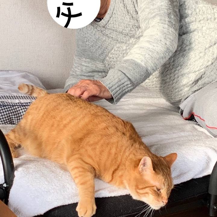 153dac2f 4624 4bbf 9725 21548cb253d5 1589611264392