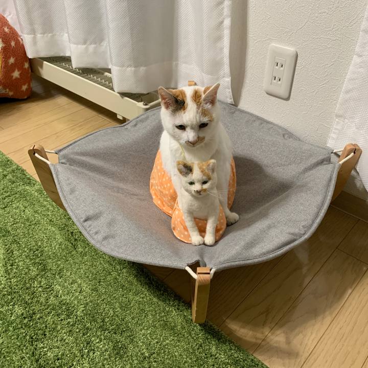 153dc318 cd10 4247 9243 a742f6fec3d8 1568689607465