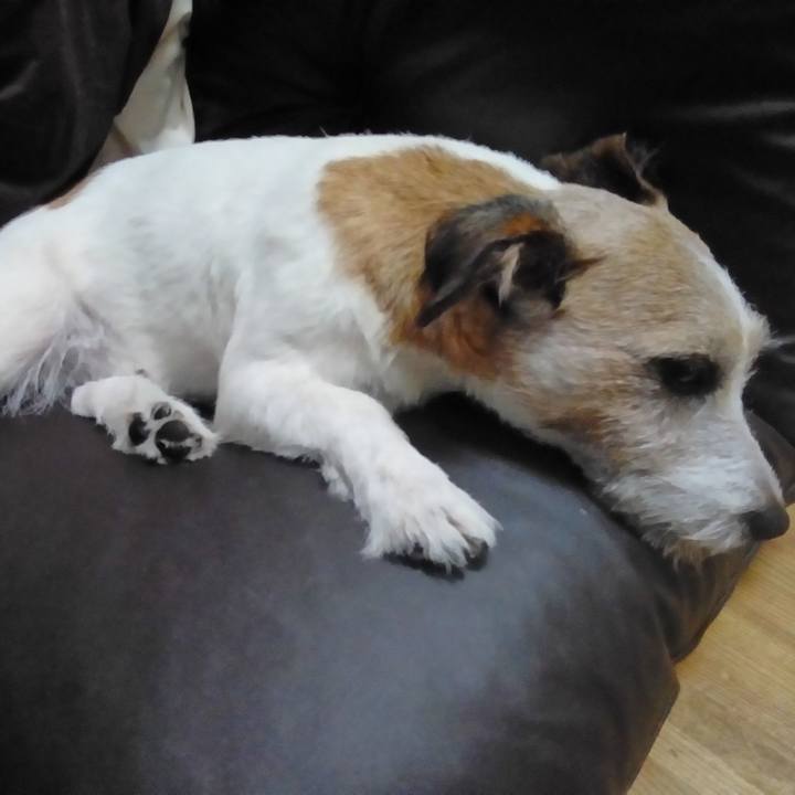 153dcc8c 3e5c 413c b913 8cdcf0ef79ff 1535372105868