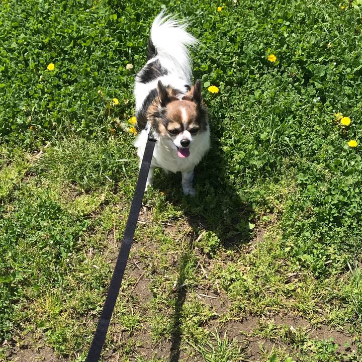 153dcca2 1960 4d60 b97c 116cd1320741 1618710829797