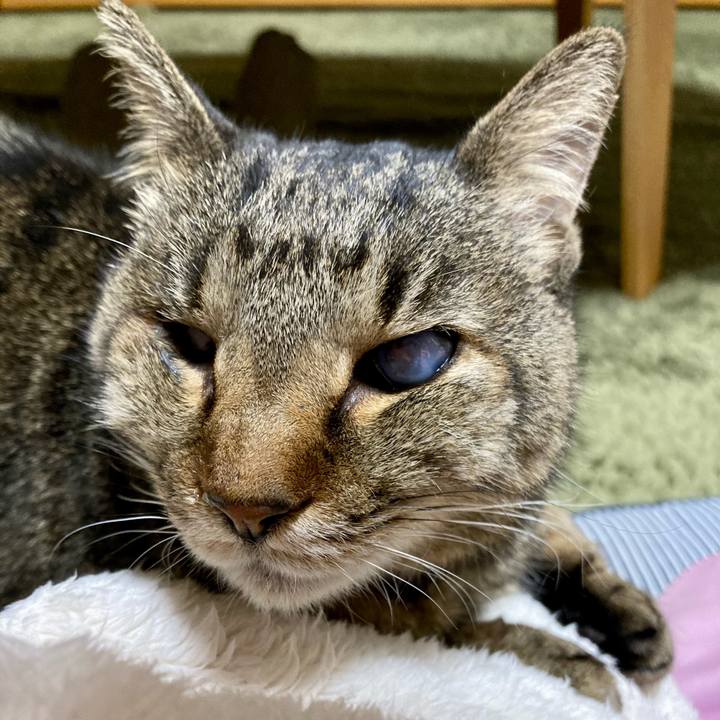 153dce97 3ce1 4bf0 9a41 820603485633 1645695859658