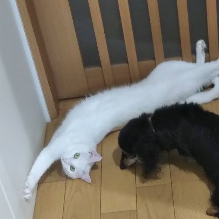 153dd683 e1f2 4f4e 80e3 fecb7c1bcf8b 1626559734067