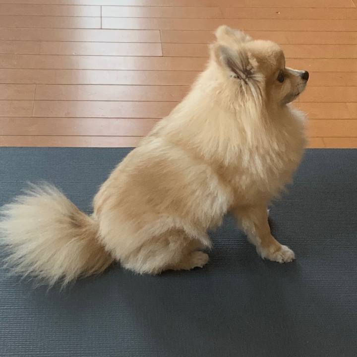 153de914 62d0 454c 82ad a80e84078770 1618212806730