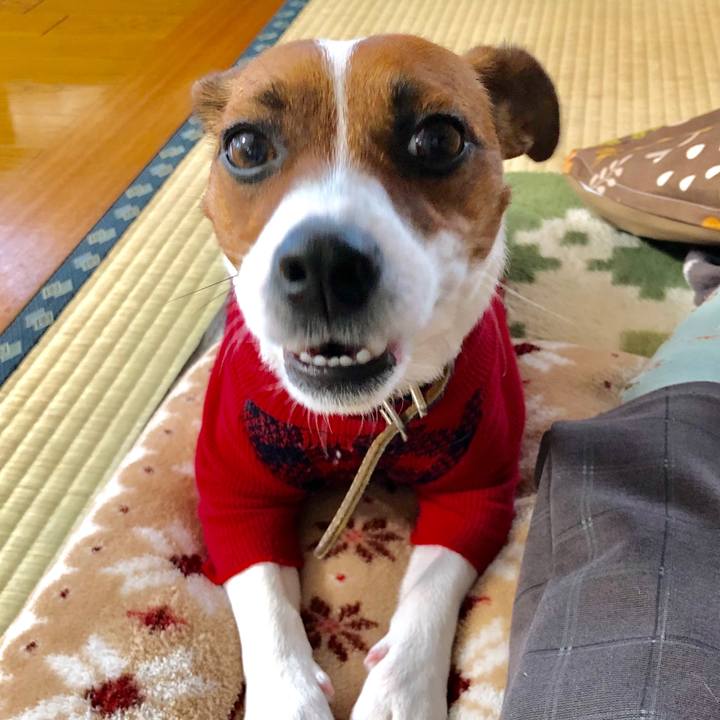 153df2a0 c658 4a89 9c71 58c8e73dbeaa 1548371921006