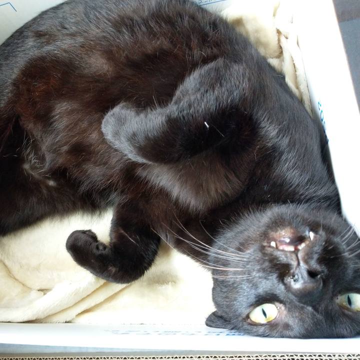 153df9a4 7a37 4f7b b05a 1f7f55fc075c 1569152875347