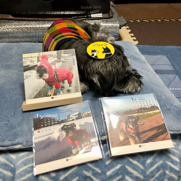 153e28cb 1da9 49fa 8abe c2b2d4fdce52 1700575259220