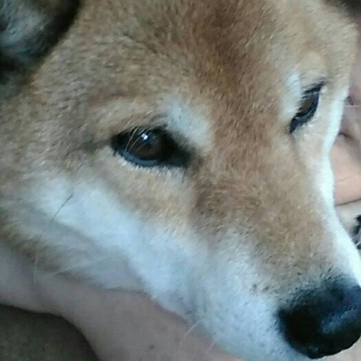 153e317c be31 455c ae1a 01abc1b5b7b6 1578537099310