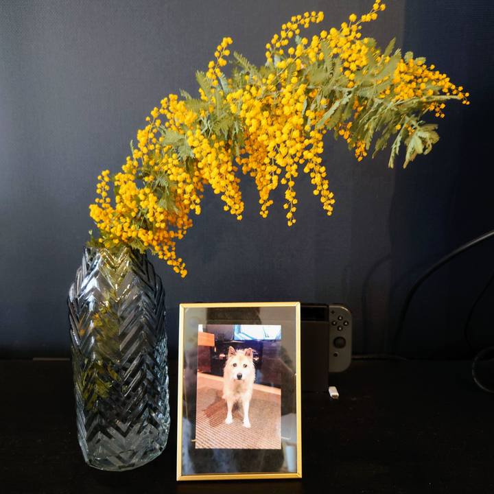 153e5238 6568 40b9 ae87 ef1ad391d39b 1678173962835