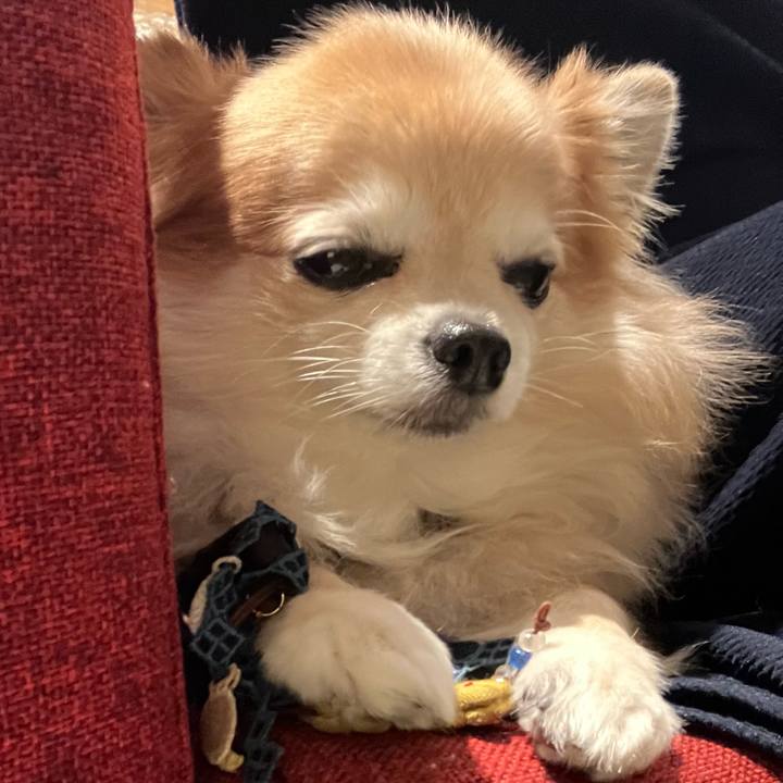 153e5d6d 7469 481c 98b5 59f6118ab100 1759583820556