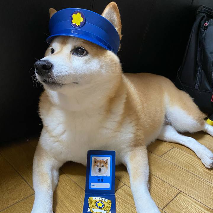 153e6ae4 e23b 41af 8fe1 c8d70076e1c4 1628769449866