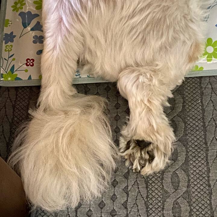 153e9645 be68 4fbd 8a11 821d38ba7c32 1627171402608