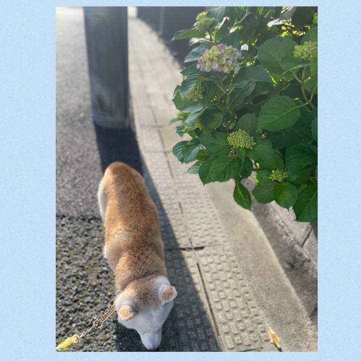 153eac08 72db 4dd5 b7c6 8ee0f454cb5c 1715987779225